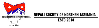 NSNT Logo